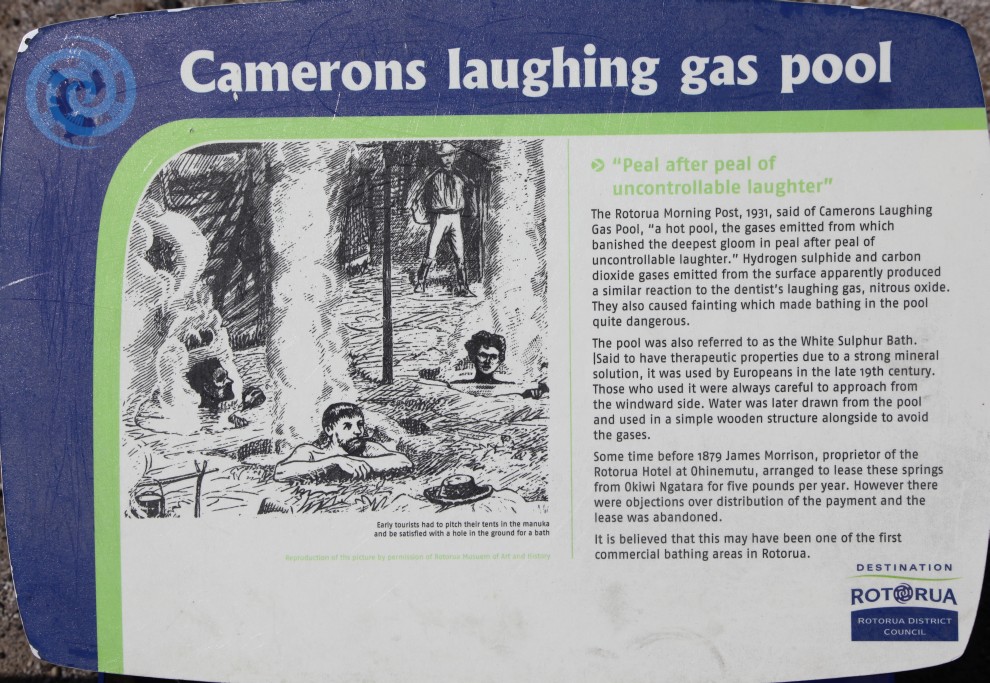 Camerons Laughing Gas Pool